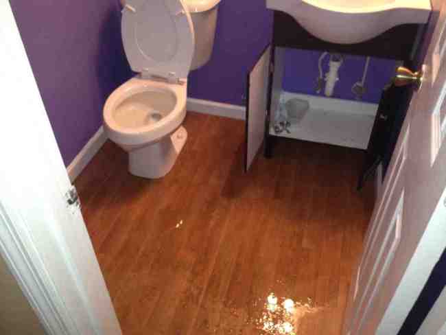 toilet overflow.jpg